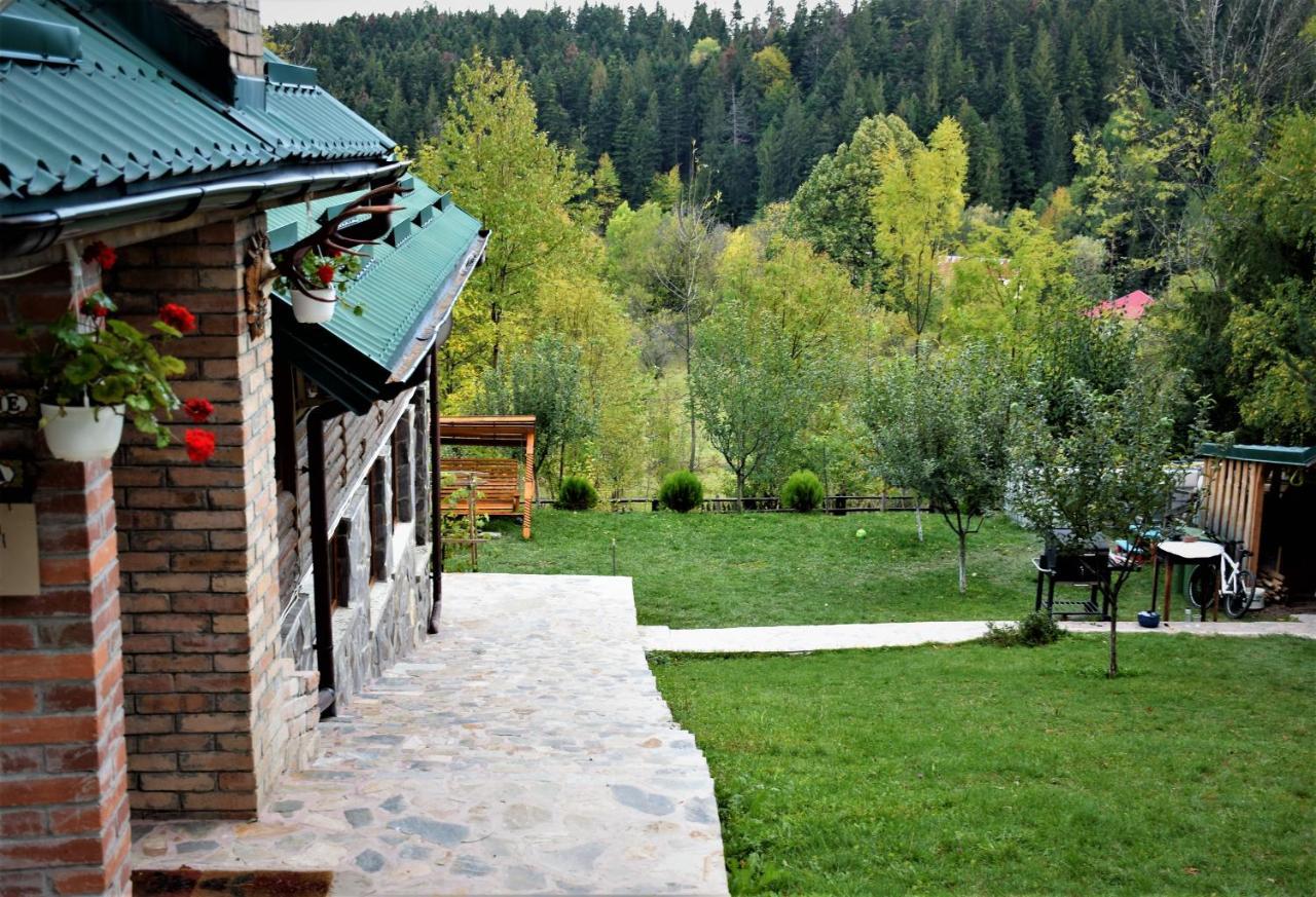 Cabana Soveja Exteriér fotografie