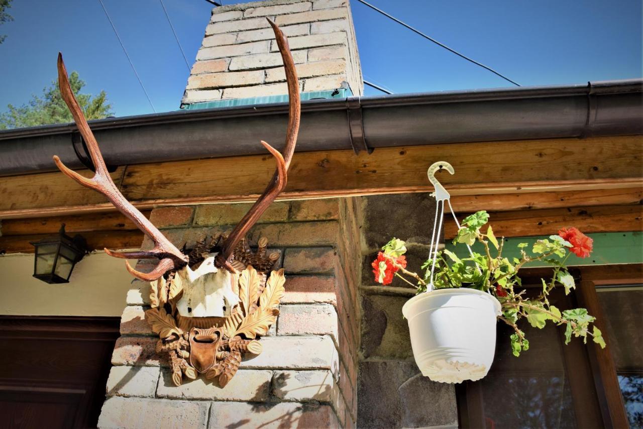 Cabana Soveja Exteriér fotografie